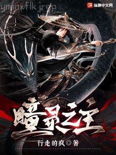 葬天神帝蘇塵葉傾城