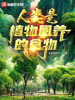 執掌風云是不是快完結了