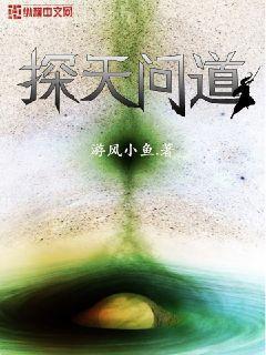 官場新貴