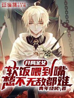 海賊之銀狐大將