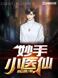 子桓的三國