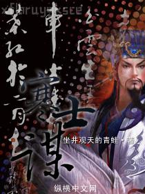 我的姐夫是太子張安世簡介